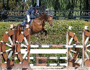 Angoli Pegaso Bis GioCav2013 S6 7457 : Angoli Kevin, Campionati Italiani Giovani Cavalli, Cattolica, Pegaso Bis, ph Stefano Secchi ©